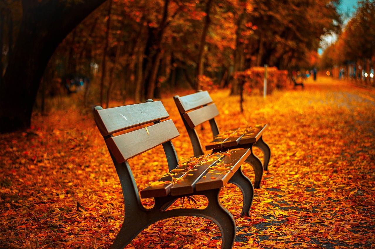 Peak foliage in Acadia offers a kaleidoscope of colors, typically arriving in mid-October.
