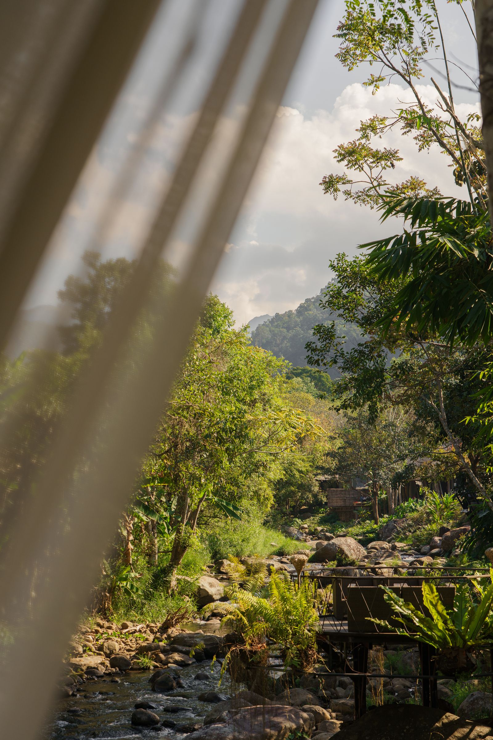 Dense green jungle and rainforest vegetation in northern Laos.