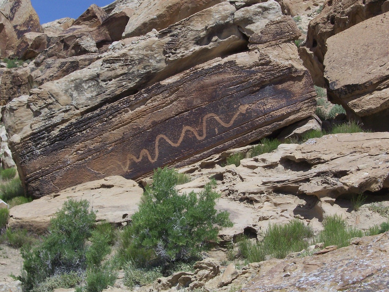 Centuries-old petroglyphs serve as a biological blueprint for the region's rewilding efforts.