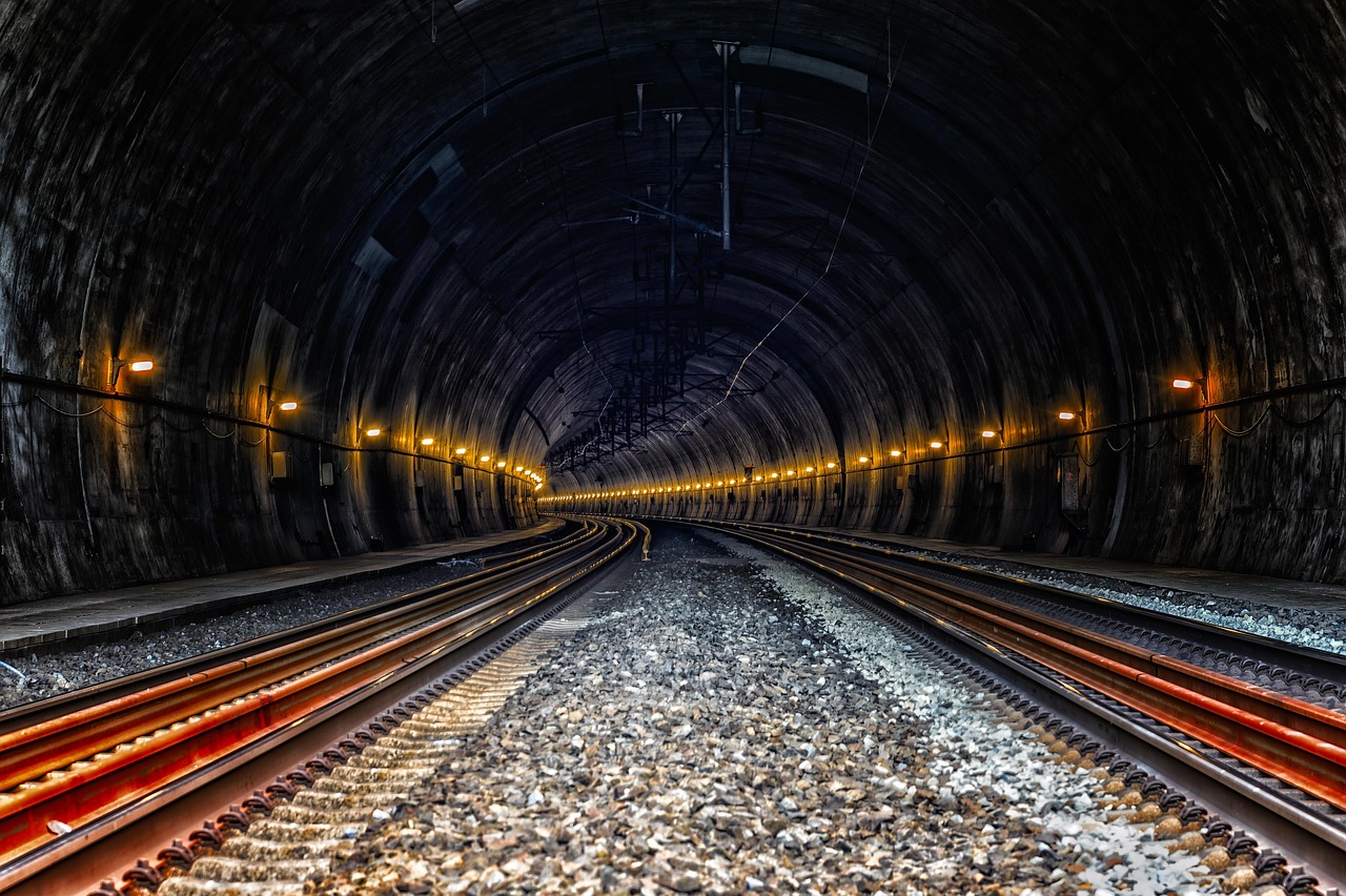 During the 'Momiji no Tunnel' stretch, the train slows down and dims its lights to highlight the illuminated maples.