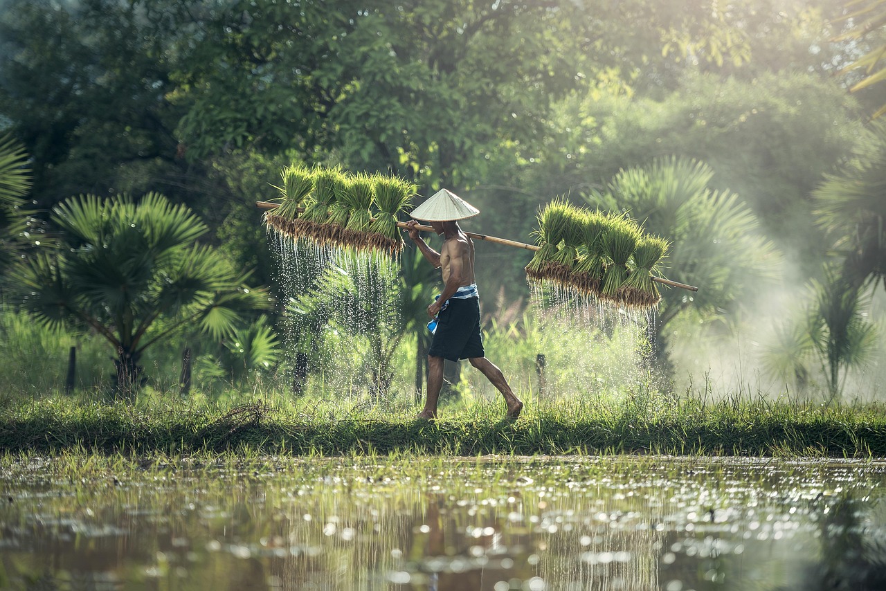 Preserving heritage: The trek highlights the importance of traditional farming in an island facing rapid development.