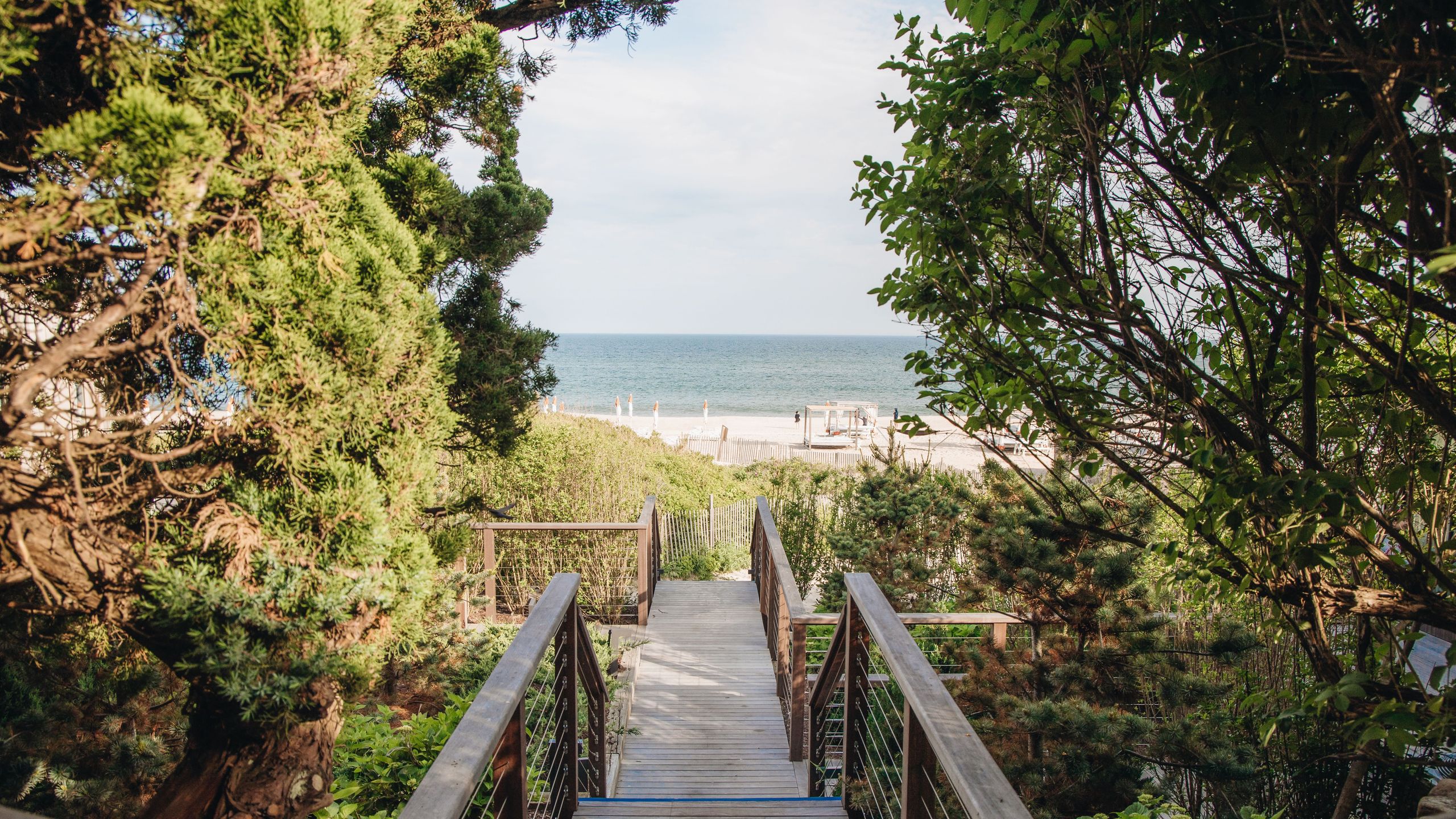 A peaceful wooden boardwalk winding through lush coastal vegetation toward the water.