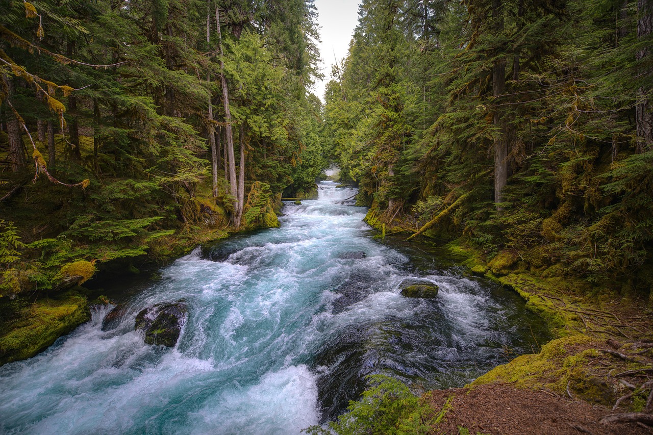 Multnomah Falls is the crown jewel of the Columbia River Gorge's waterfall corridor.