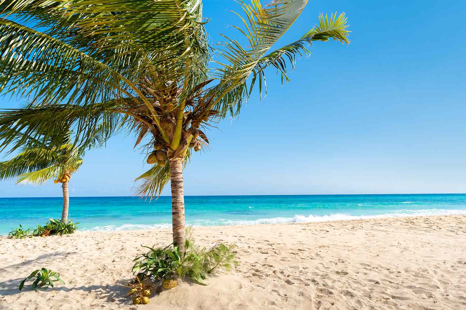 Airlines Suspend Cuba Service: Essential Guide to Cancellations, Refunds, and Repatriation