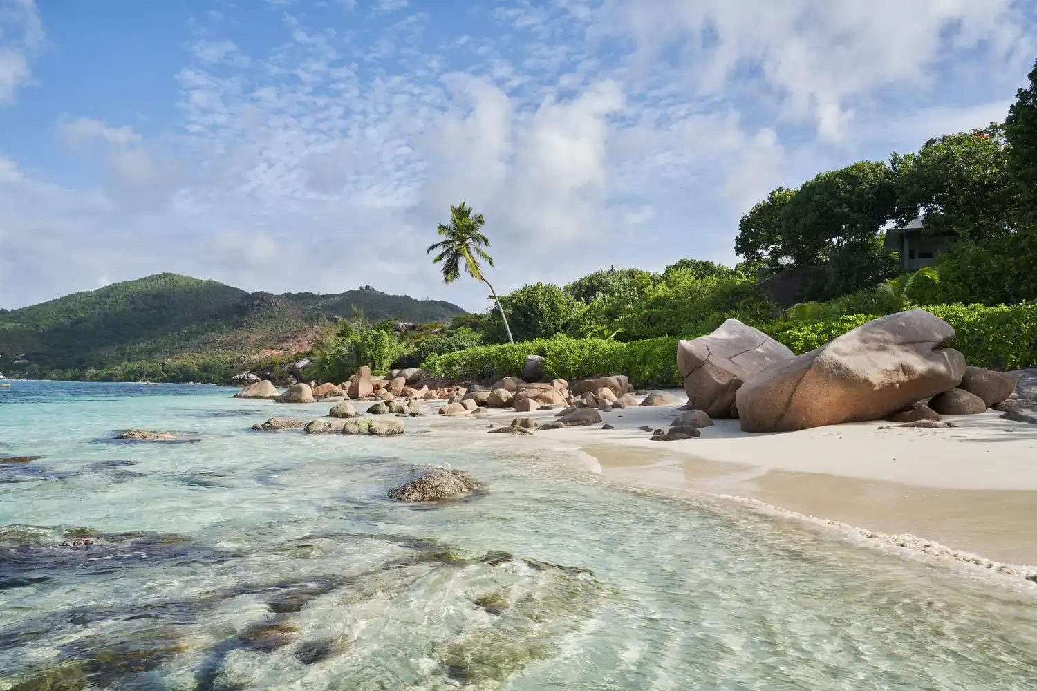 Tropical beach with clear water and lush vegetation in the Seychelles