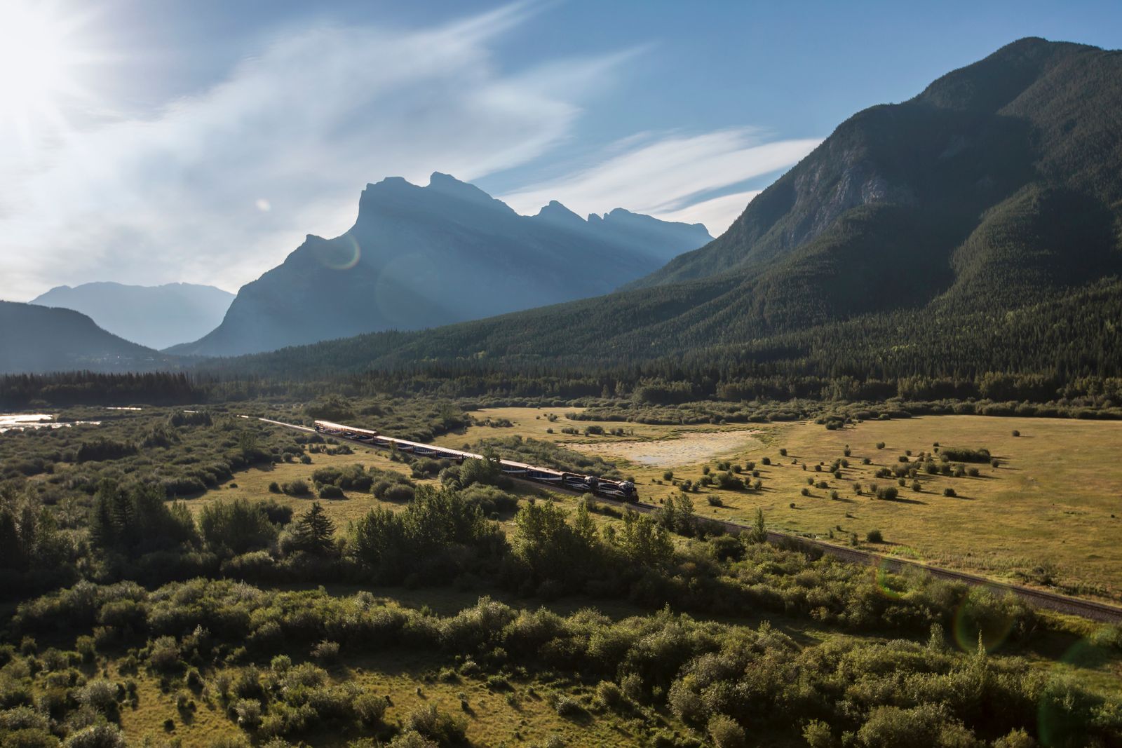 A blue and gold train winding through a dense evergreen forest next to a mountain river.
