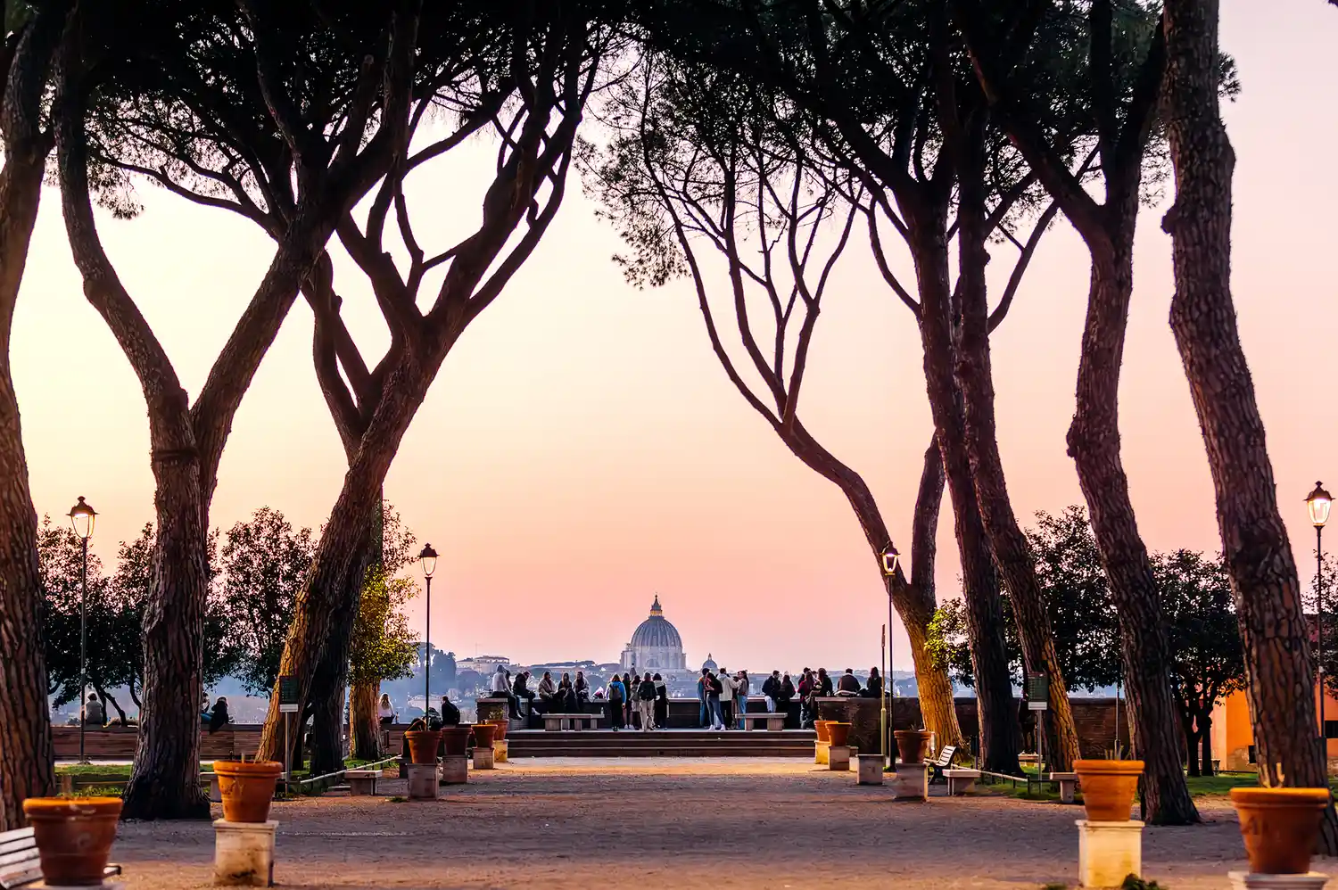 Tall pine trees lining a walkway in the Orange Garden on Aventine Hill with St. Peter's Basilica visible in the distance.