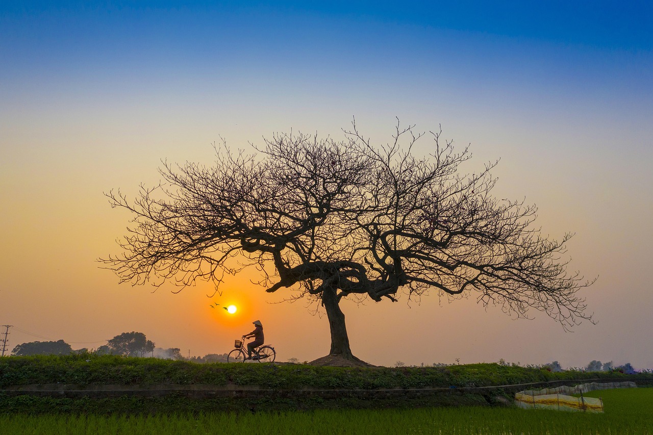 Pedaling through paradise: Slowing down to the speed of life in rural villages.
