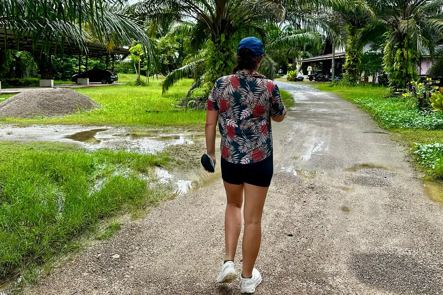 A traveler walking through a tropical pathway lined with palm trees.