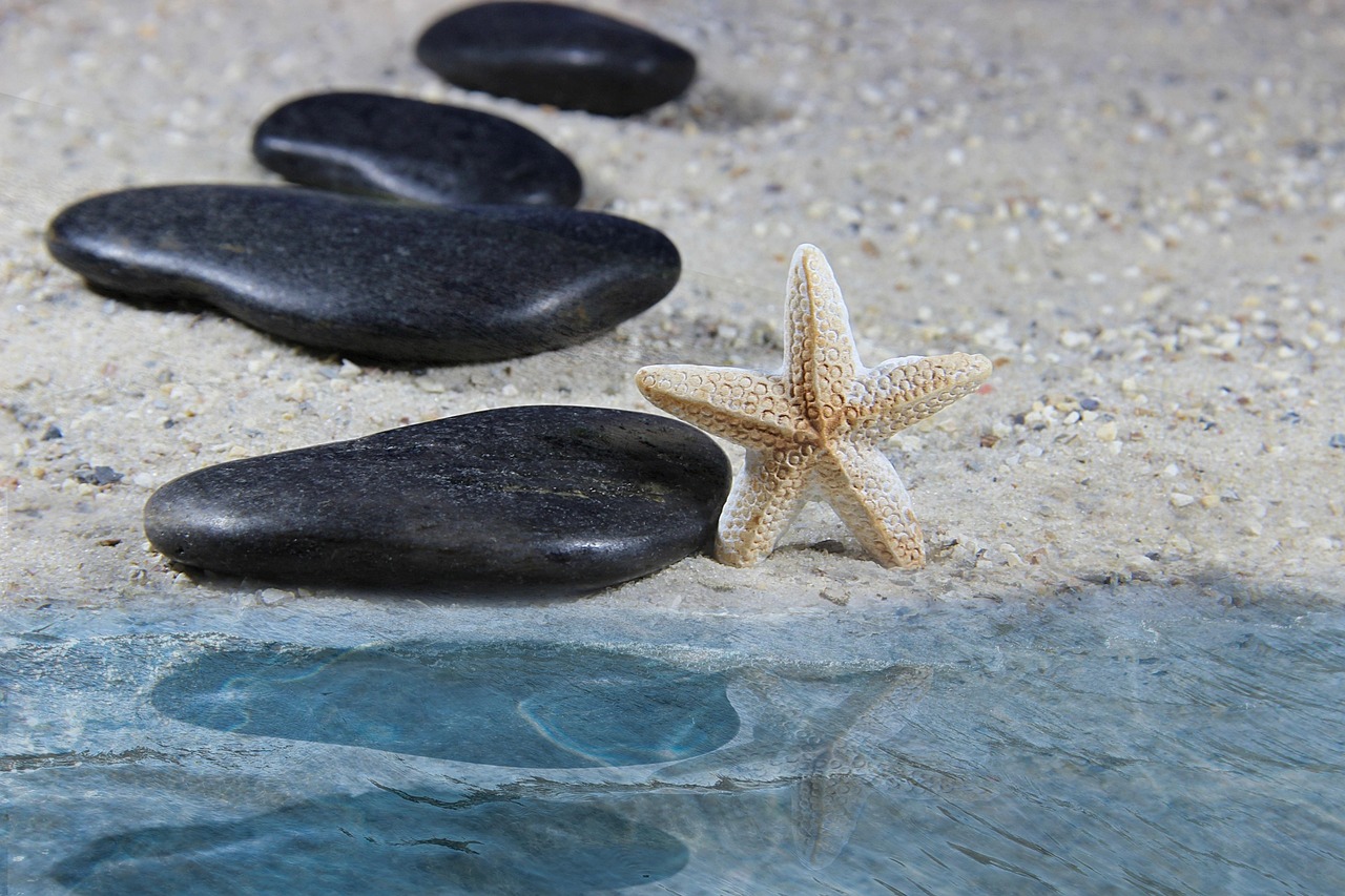 The Readiness Score helps users understand when to push their limits and when to recover.