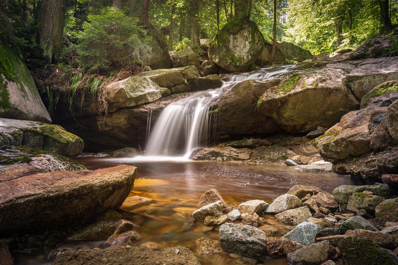 Oirase Gorge is a sanctuary for moss enthusiasts and those seeking 'Shinrin-yoku' or forest bathing.