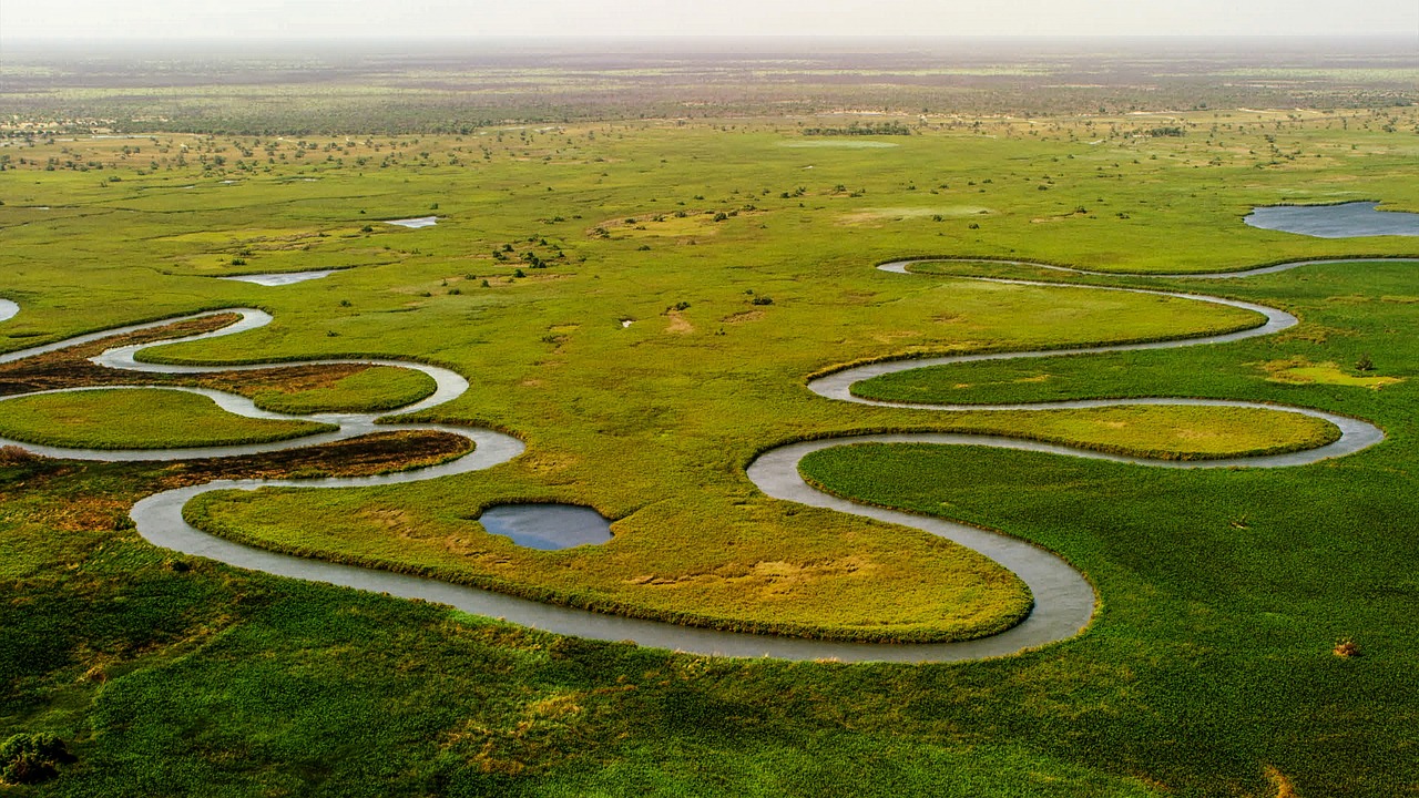Resorts in the Okavango Delta offer an exclusive perspective of the wild through traditional mokoro excursions.