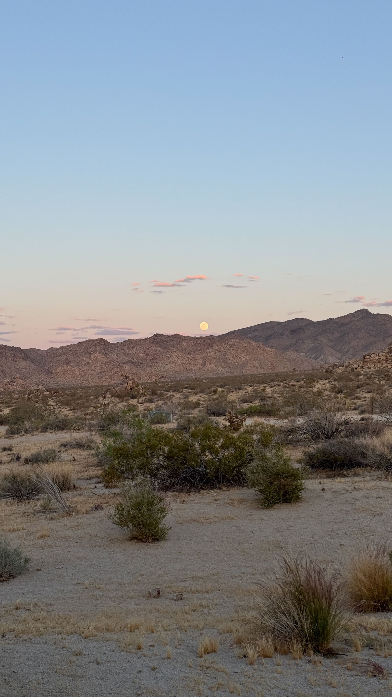 Rugged desert rock formations and wilderness under a clear sky.