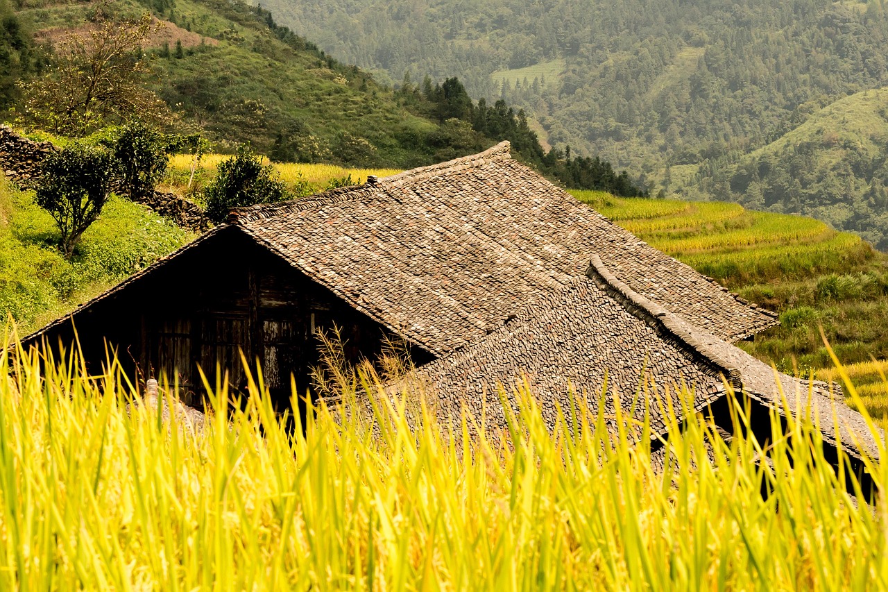 Beyond the coast, Bali’s emerald rice terraces represent the heart of its cultural and sustainable appeal.