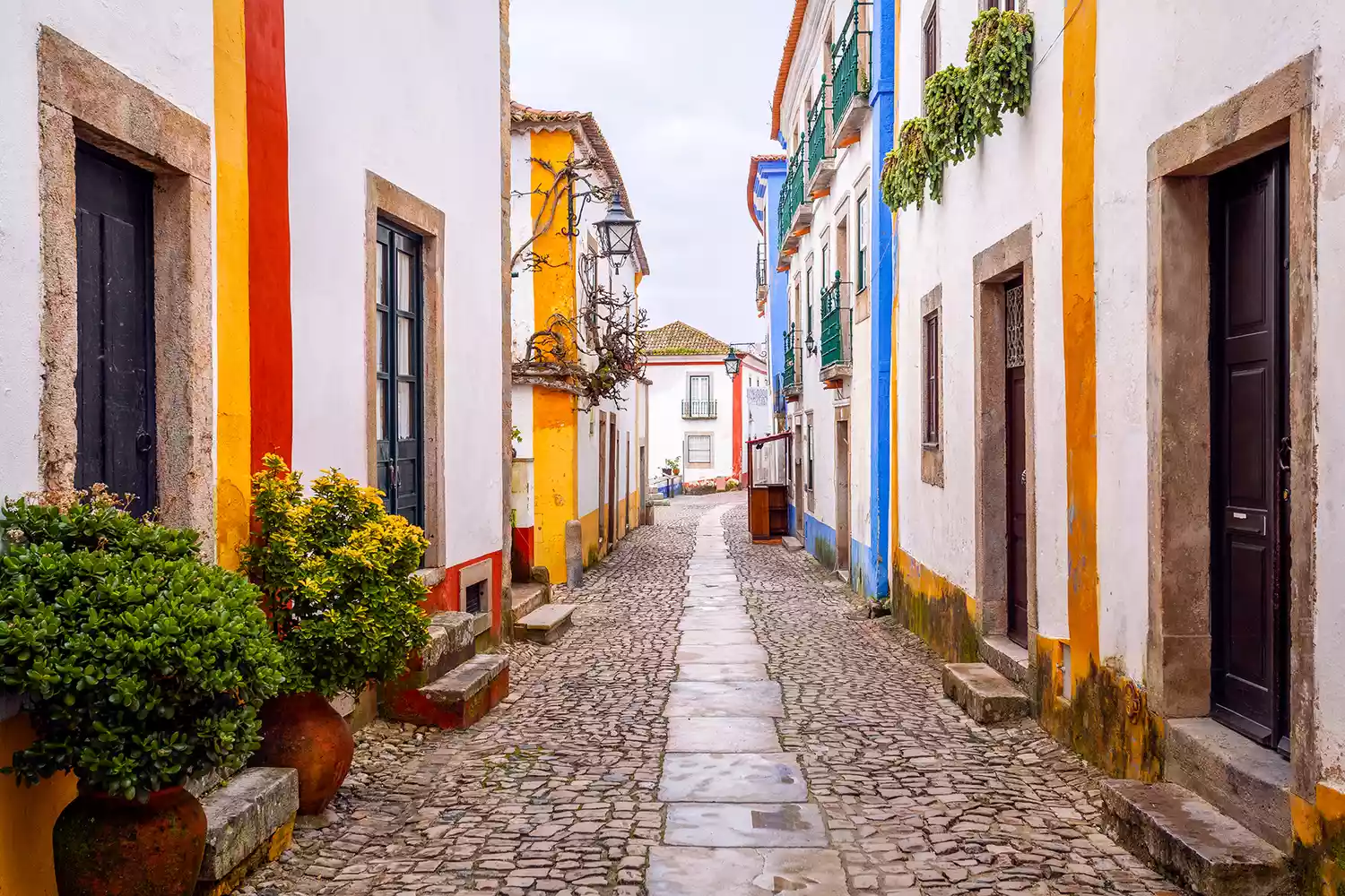A narrow cobblestone street in Óbidos, Portugal, lined with white houses adorned with blue and yellow trim.