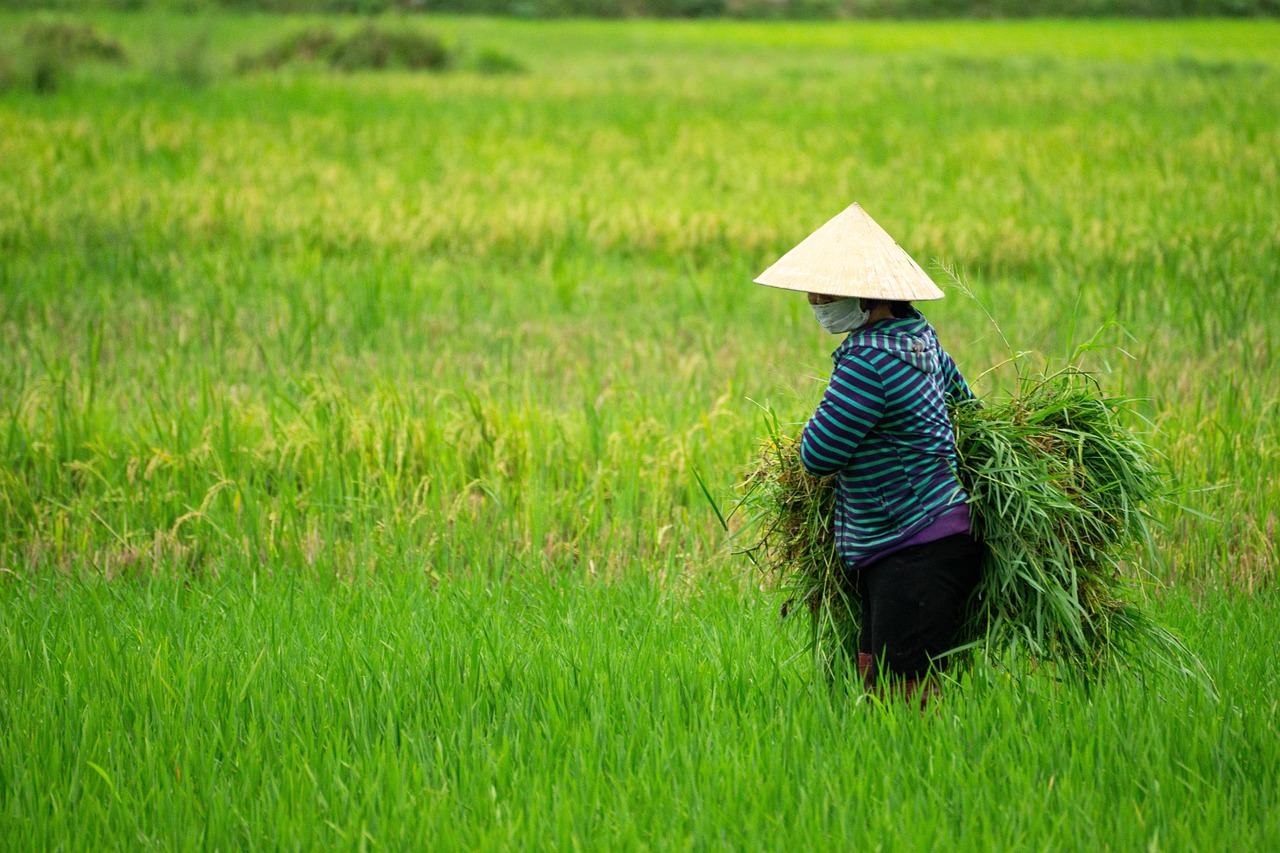Participation, not just observation: Regenerative travel involves contributing to the local ecosystem.