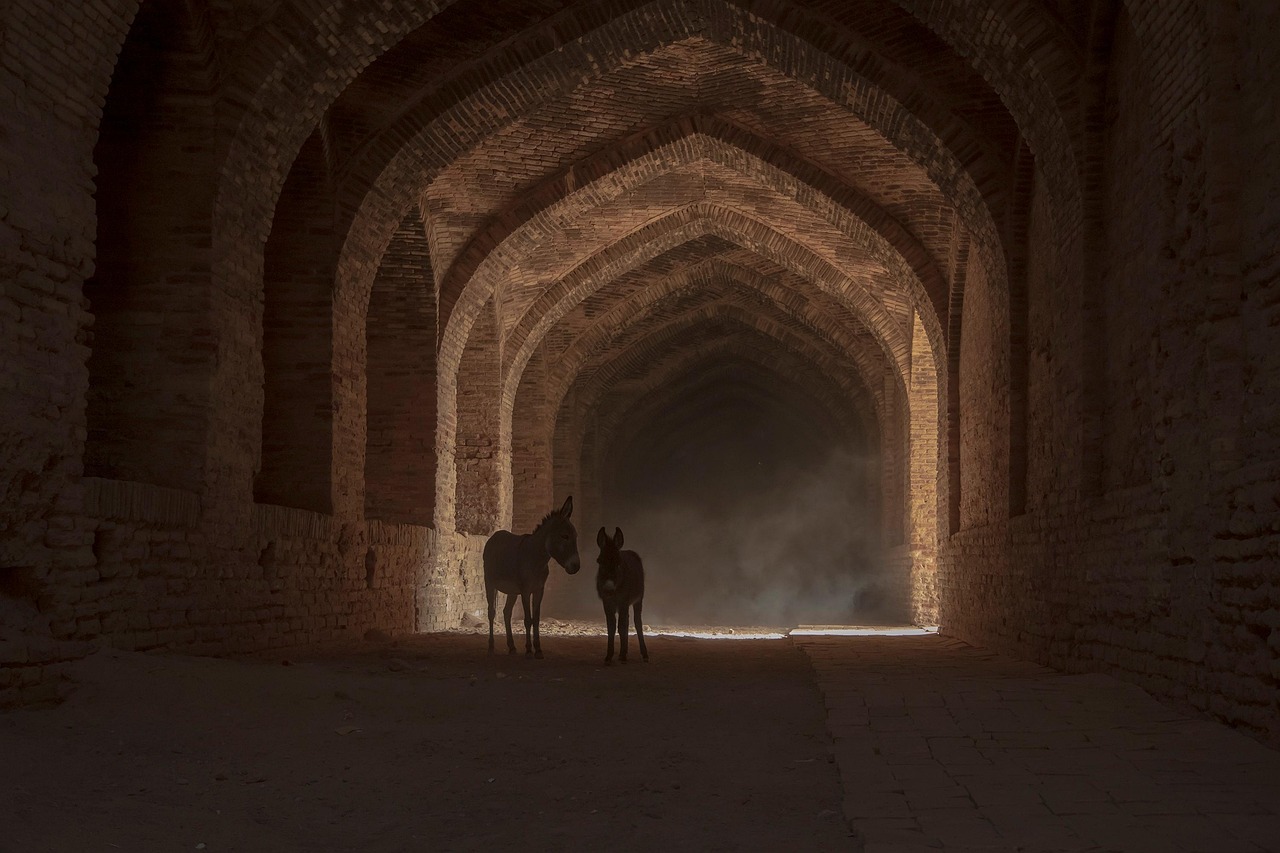 New ID requirements mean every international visitor over 16 must present a passport or government-issued photo ID at park gates.