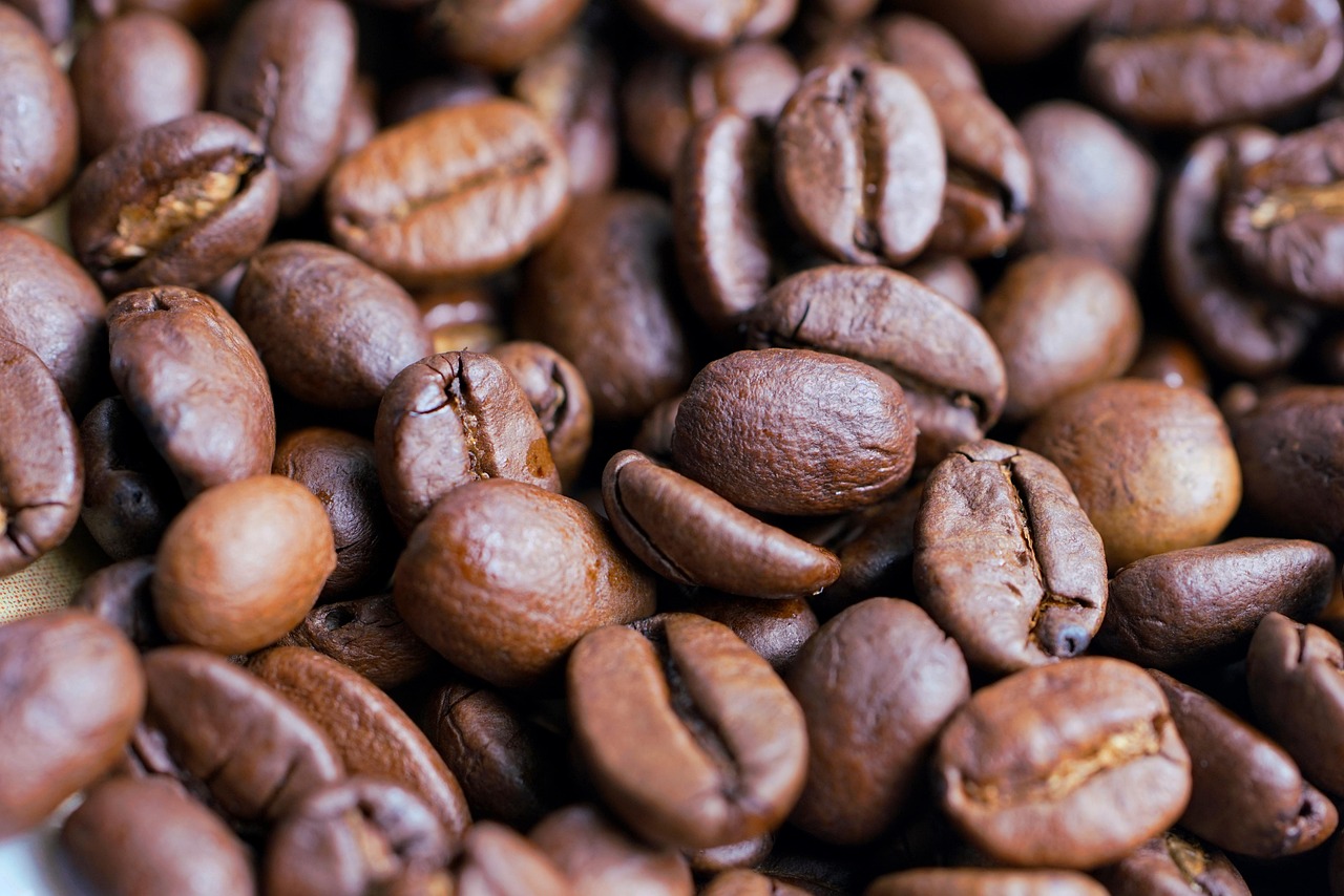 Northern heritage on a plate: The iconic Arroz con Pato.