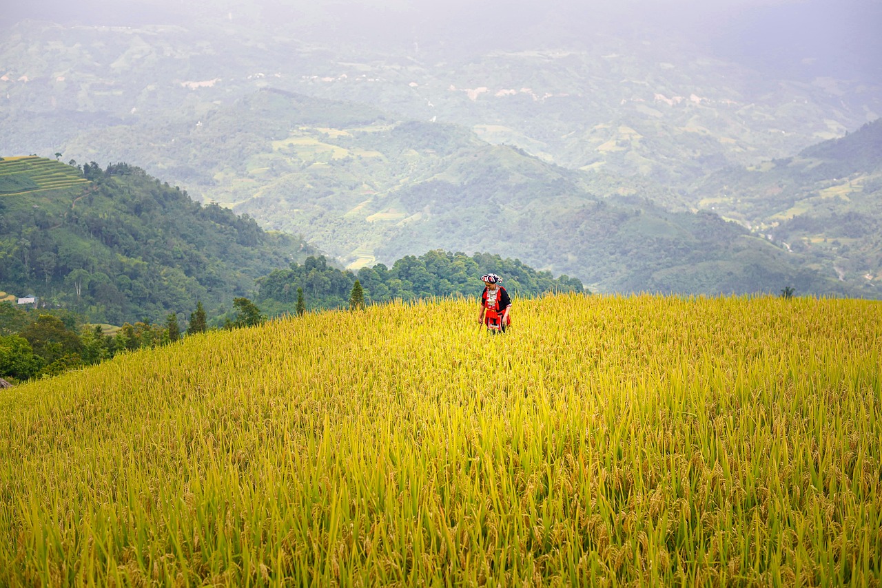 For many Americans, Portugal offers a strategic safety net and an unparalleled quality of life.