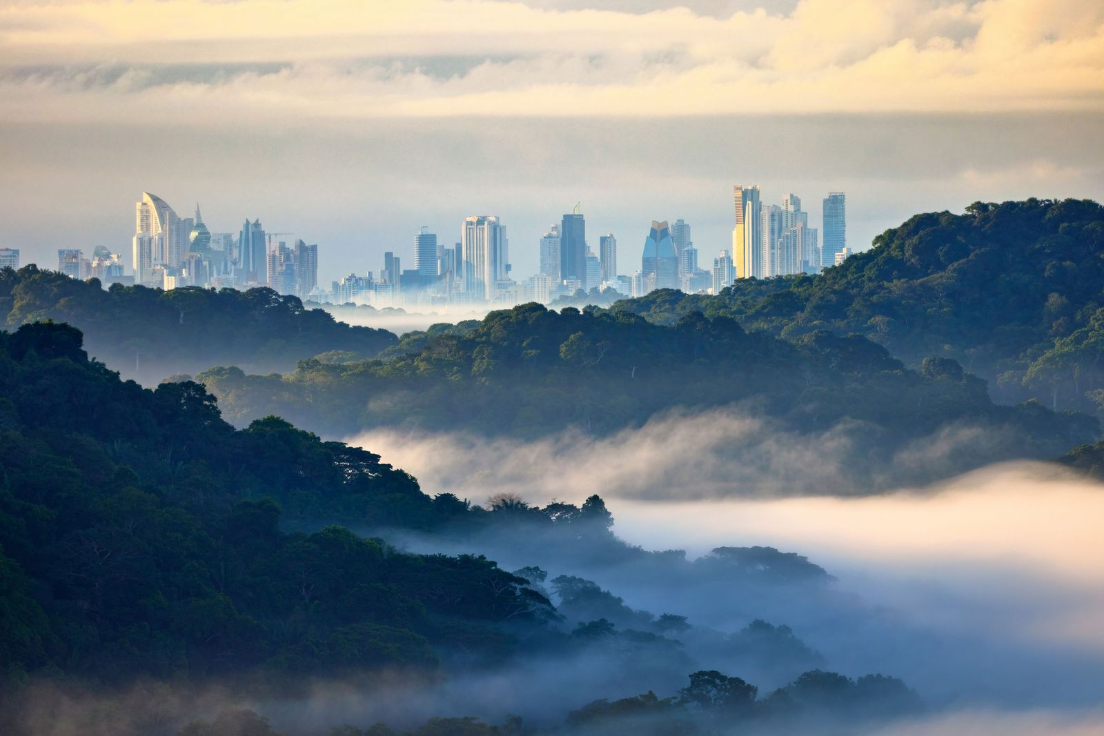 A misty cityscape with high-rise buildings partially obscured by fog.