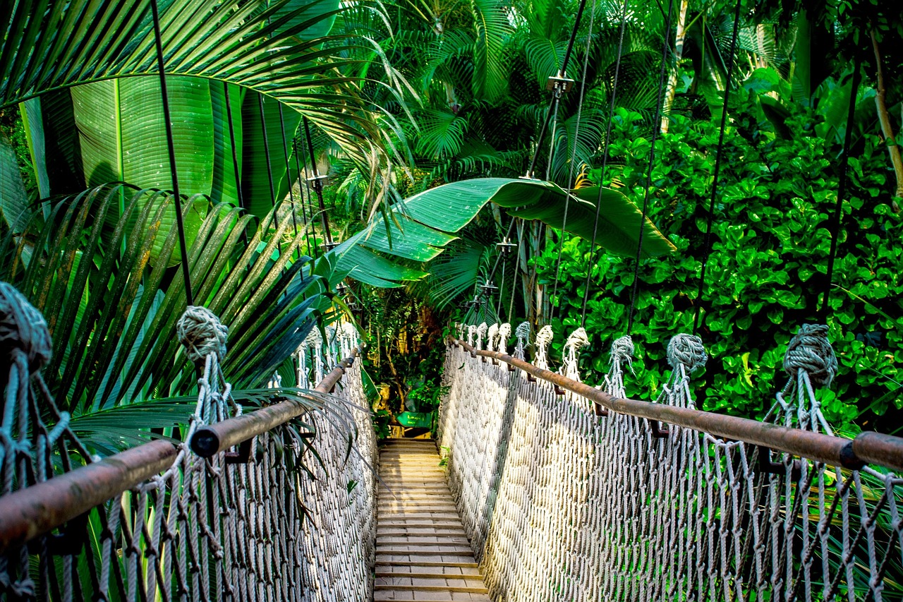 The 'God Willing' path: A 120km journey that reconnects travelers with the spirit of Bali.