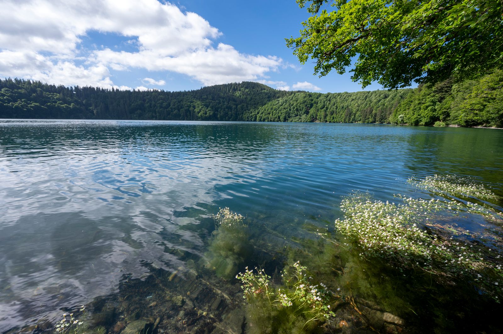 A serene volcanic lake in Auvergne surrounded by lush green vegetation and hills.