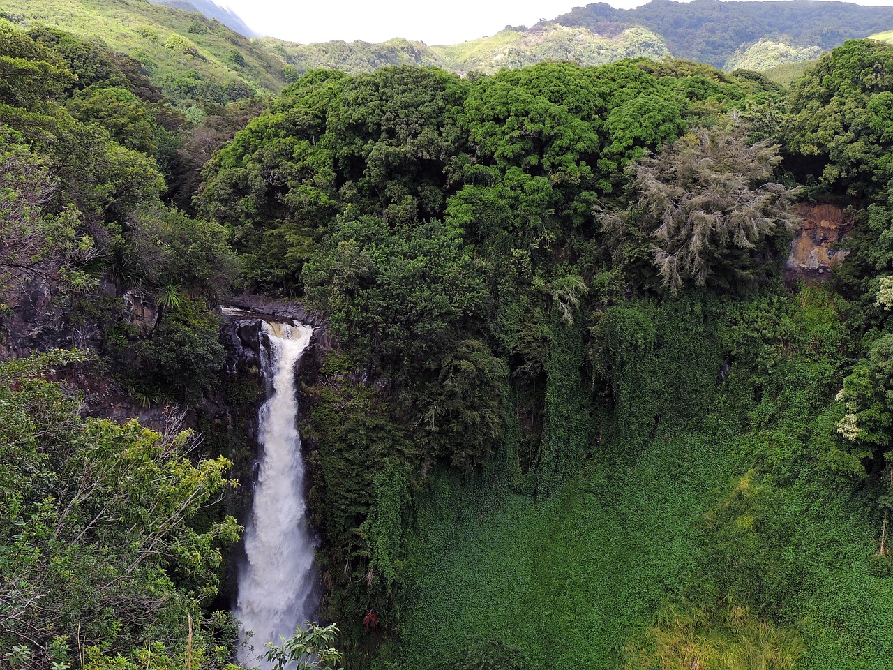 Maui's lush landscapes and hidden waterfalls make it a favorite for romantics and families.
