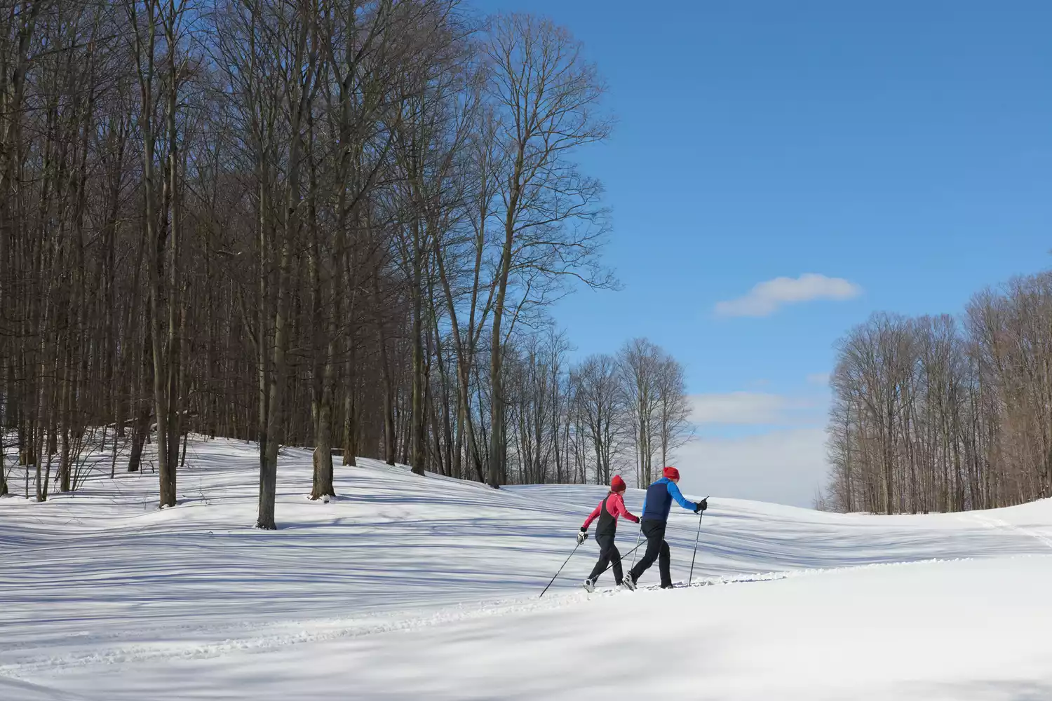 Two cross-country skiers moving through a wooded trail at Crystal Mountain.