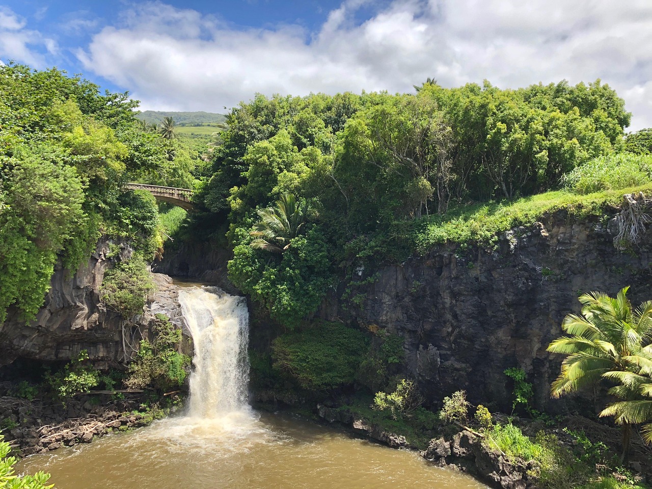 Hilo’s signature 'emerald gulches' offer a lush, primeval atmosphere distinct from the island's volcanic plains.