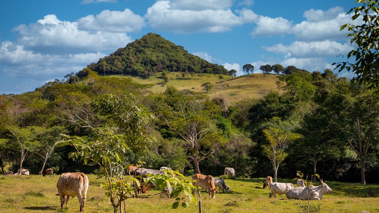 Paraguay Residency by Investment: 2026 Guide