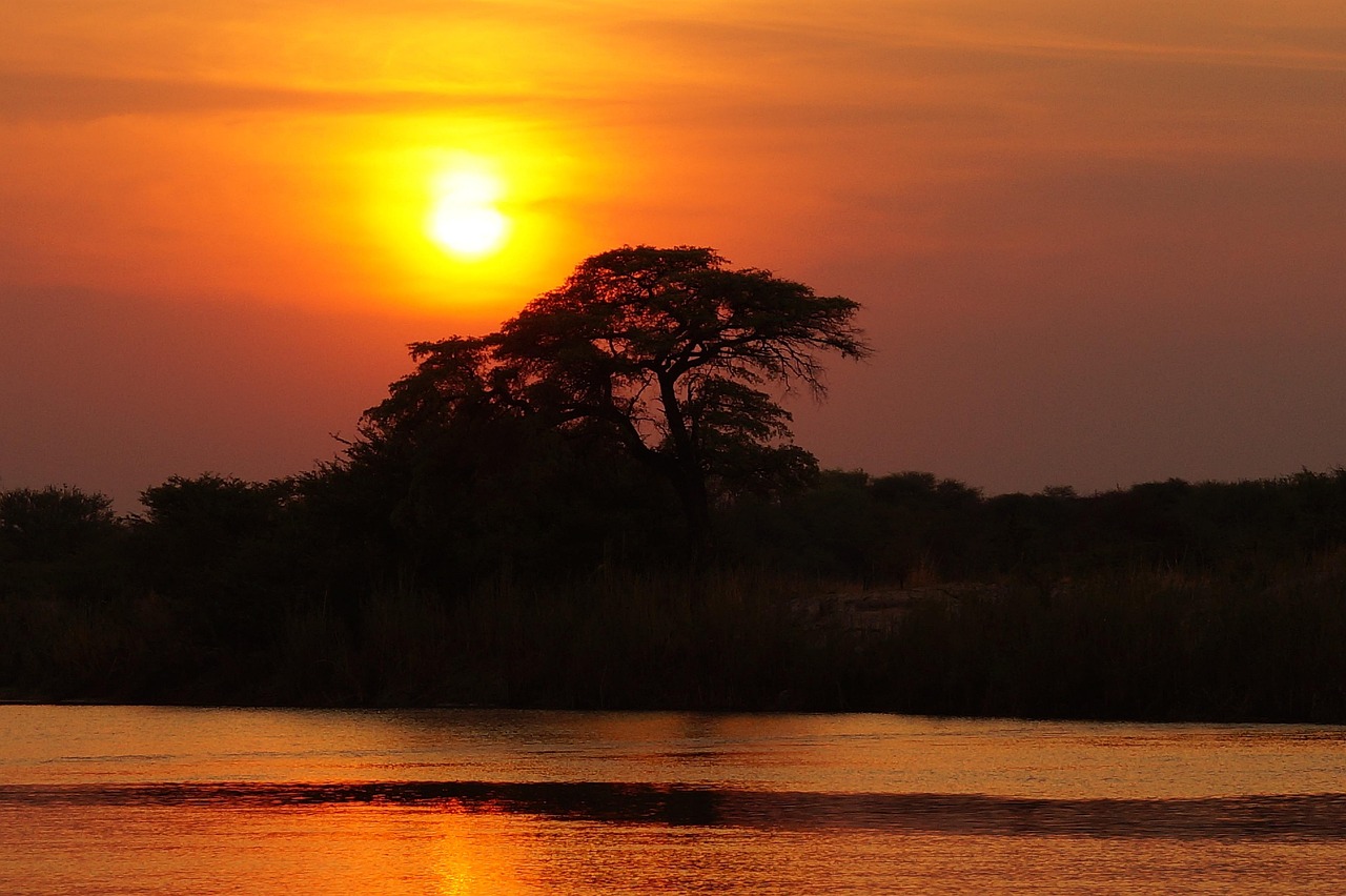 March transforms the Okavango Delta into a vibrant green oasis, perfect for tranquil water safaris.