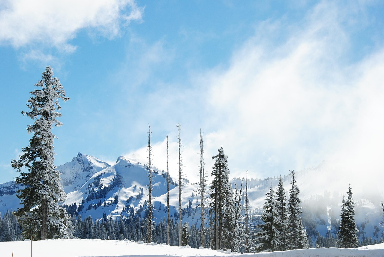 The Paradise area at Mount Rainier offers world-class snowshoeing trails for all skill levels.