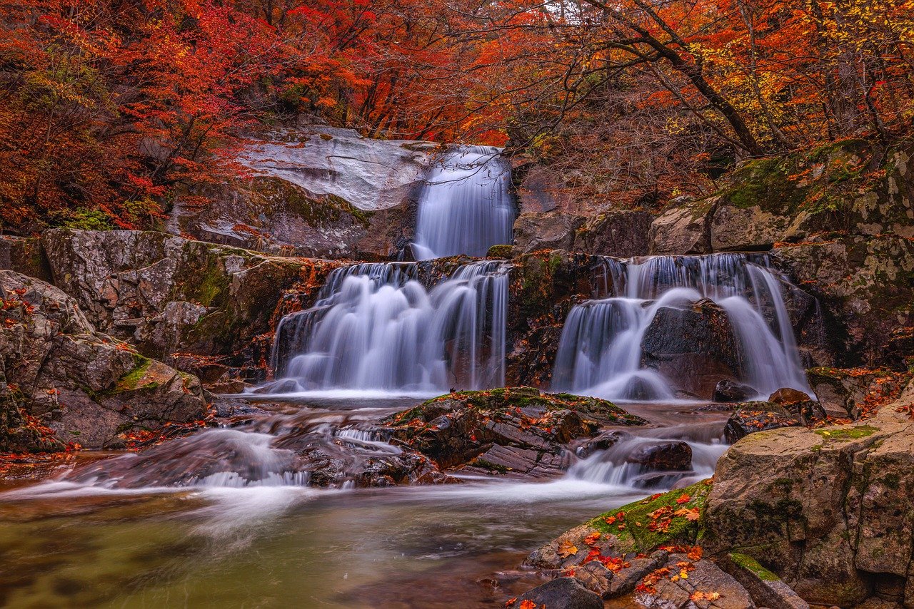 Beyond the cottage, visitors can explore the natural beauty of Amicalola Falls nearby.
