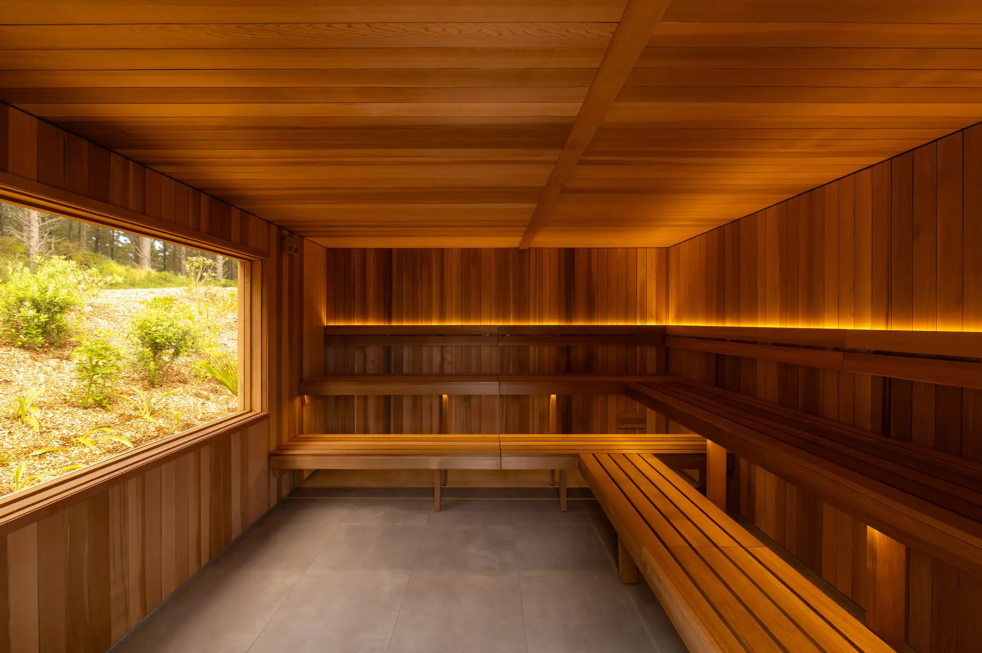 Inside of a minimalist wooden sauna with a large window overlooking natural greenery.